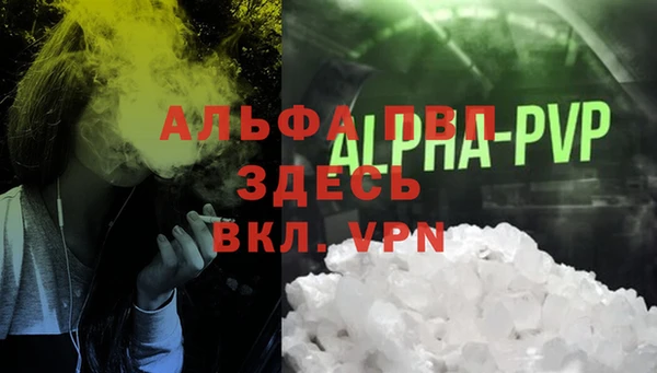 гидра Инта