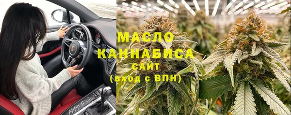 гидра Инта