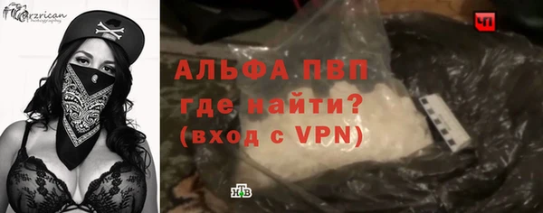 гидра Инта