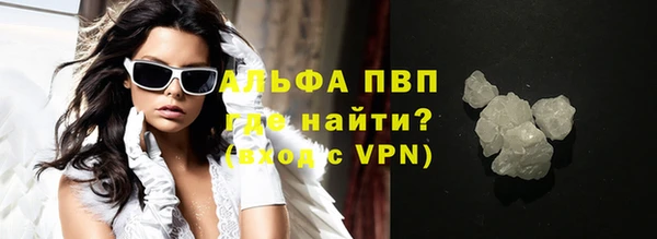 гидра Инта