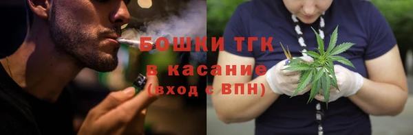 молекула духа Зеленокумск