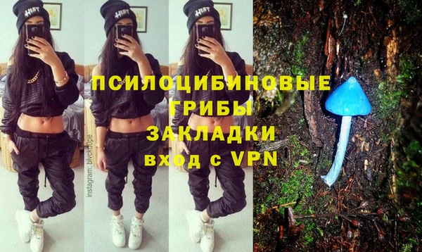гидропоника Зеленодольск
