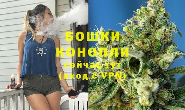 гидра Инта